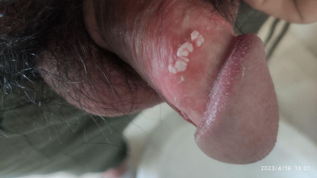 wlr52504wjp12590.jpg